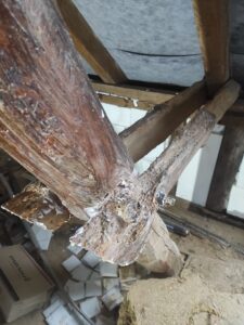 żelowanie za pomocą specjalistycznego żelu Xilix